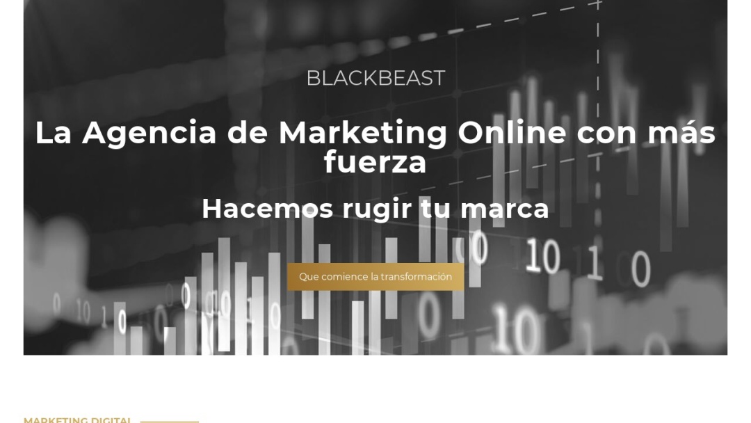 Screenshot of Black Beast's Website