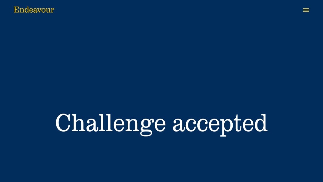 Screenshot of Bloodybigspider's Website