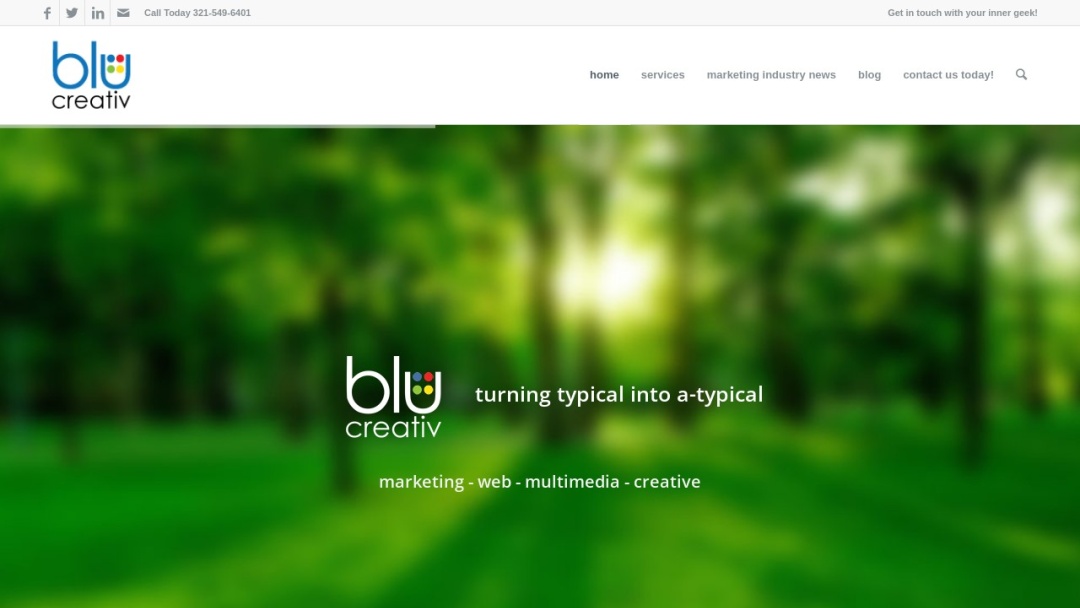 Screenshot of Blu Creativ's Website
