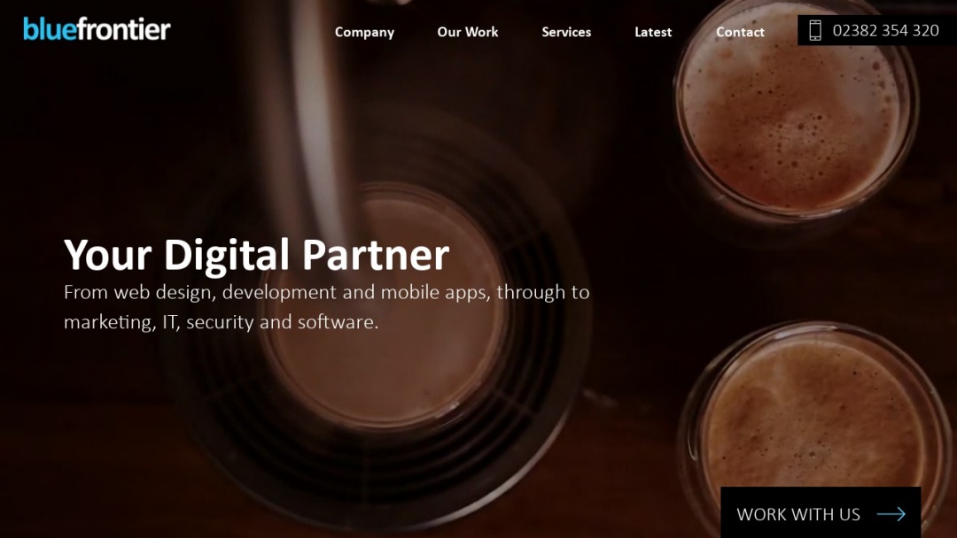 Screenshot of Blue Frontier's Website