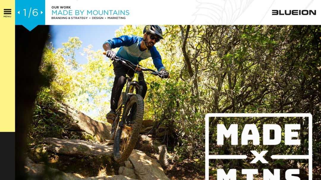 Screenshot of Blue Ion's Website