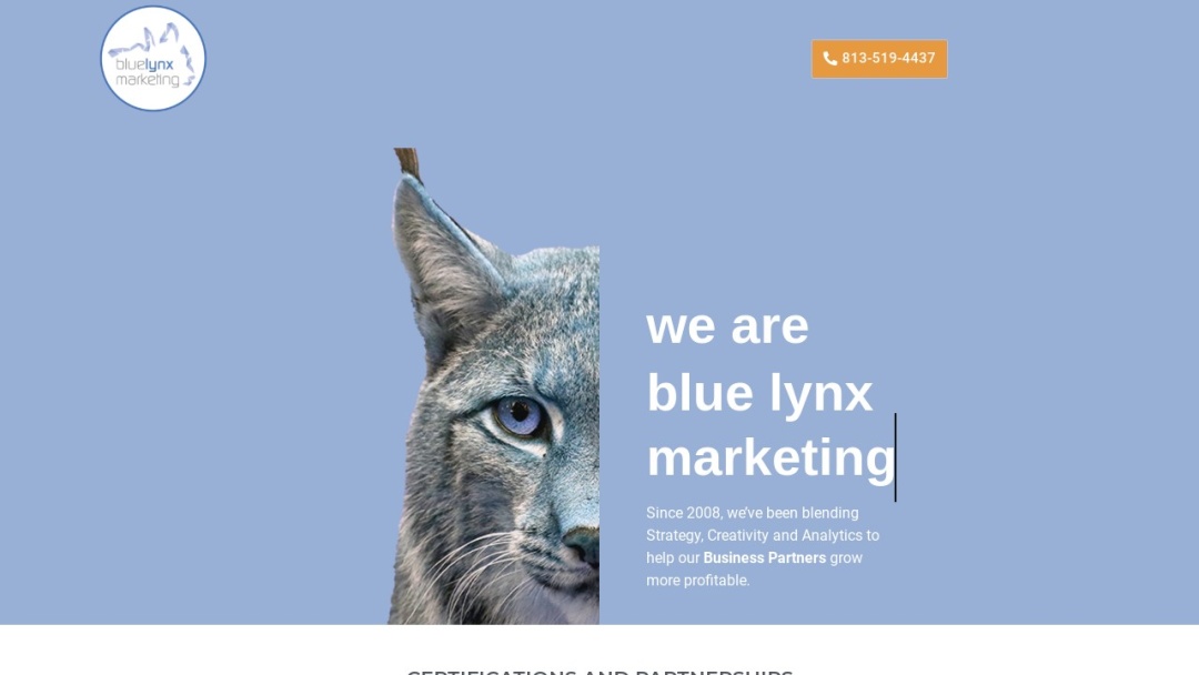 Screenshot of Blue Lynx Marketing, Inc.'s Website