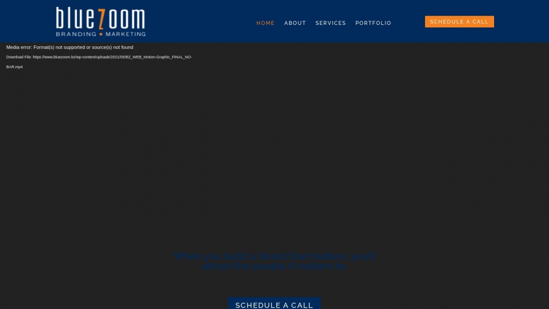Screenshot of Bluezoom's Website