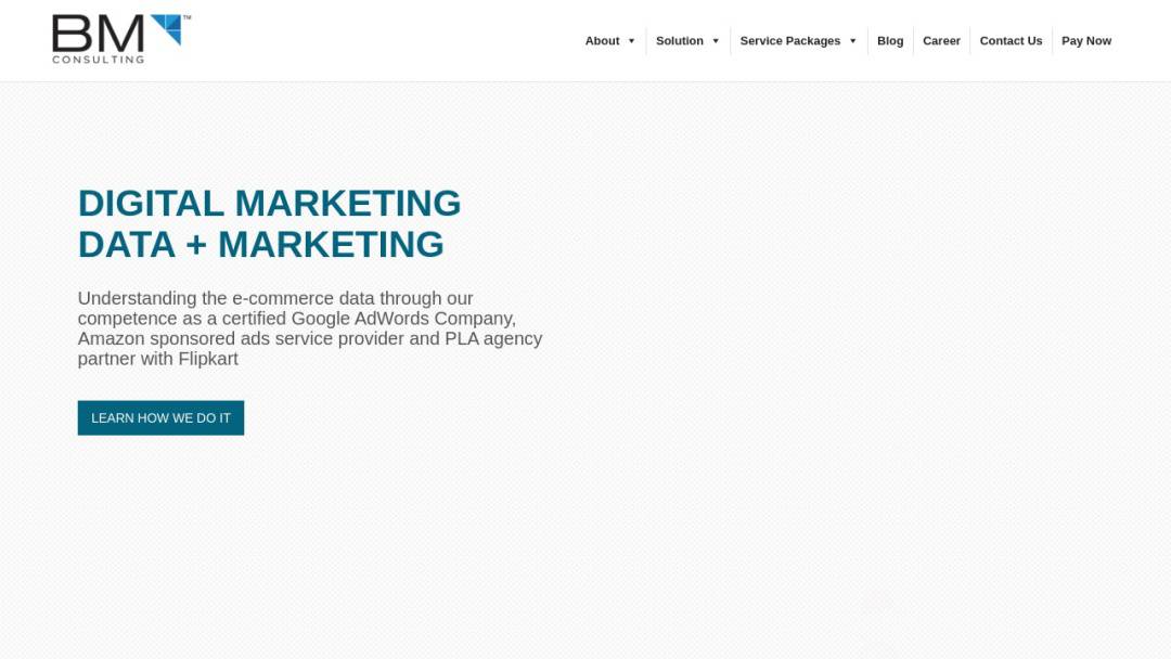 Screenshot of BM Consulting's Website