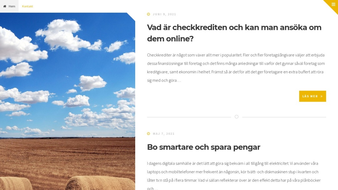 Screenshot of Bonne Marque's Website