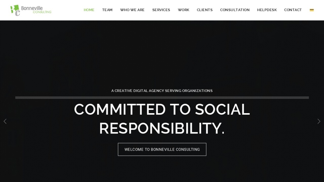 Screenshot of Bonneville Consulting's Website
