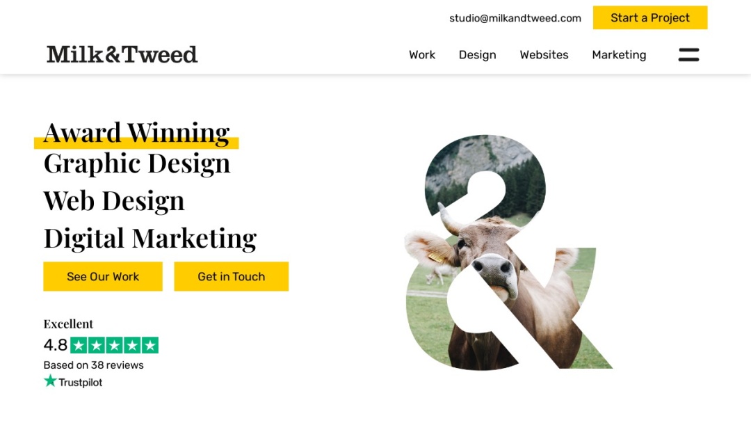 Screenshot of Boson Web's Website