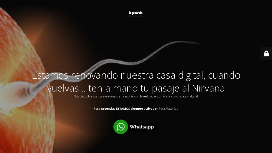 Screenshot of Bponk's Website