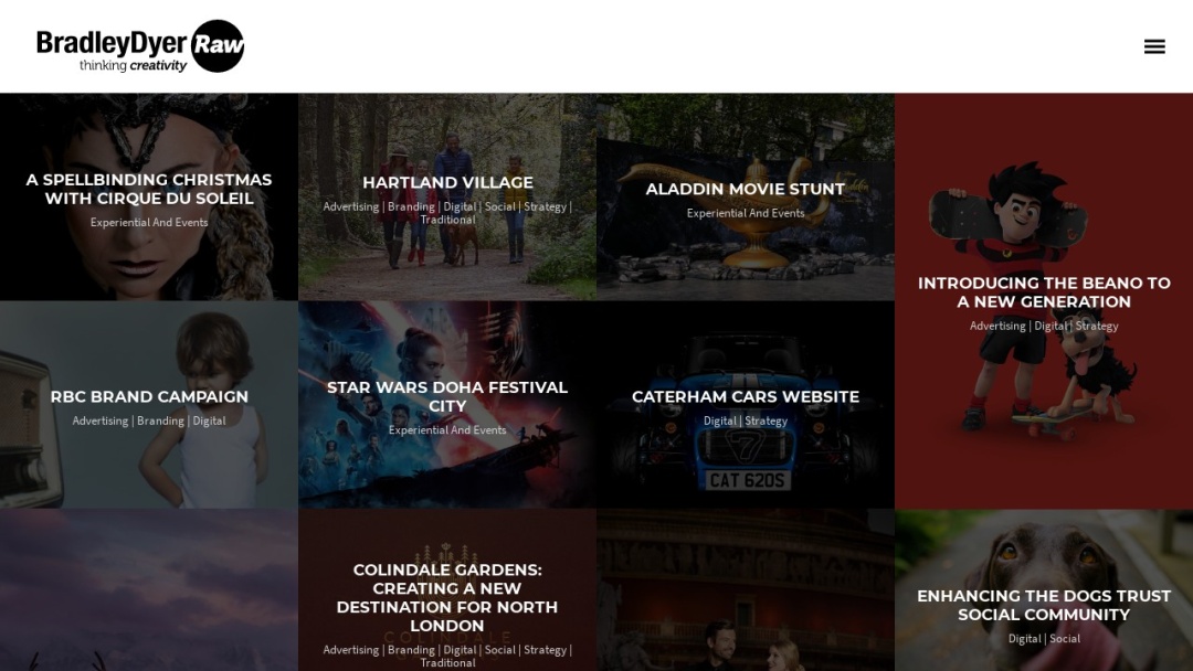 Screenshot of BradleyDyer's Website