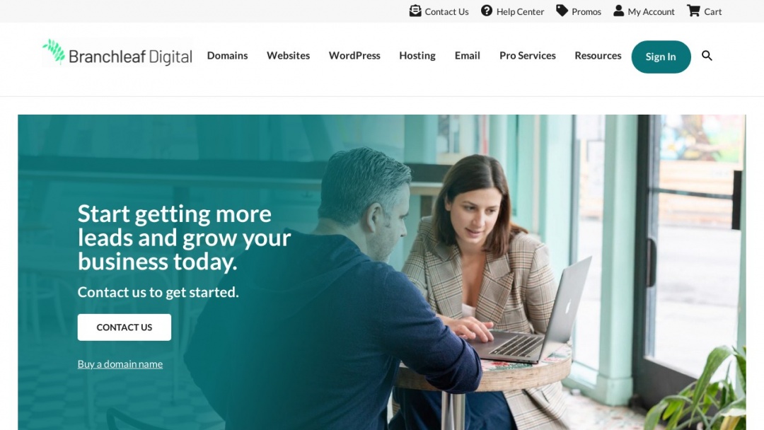 Screenshot of Branchleaf Digital's Website