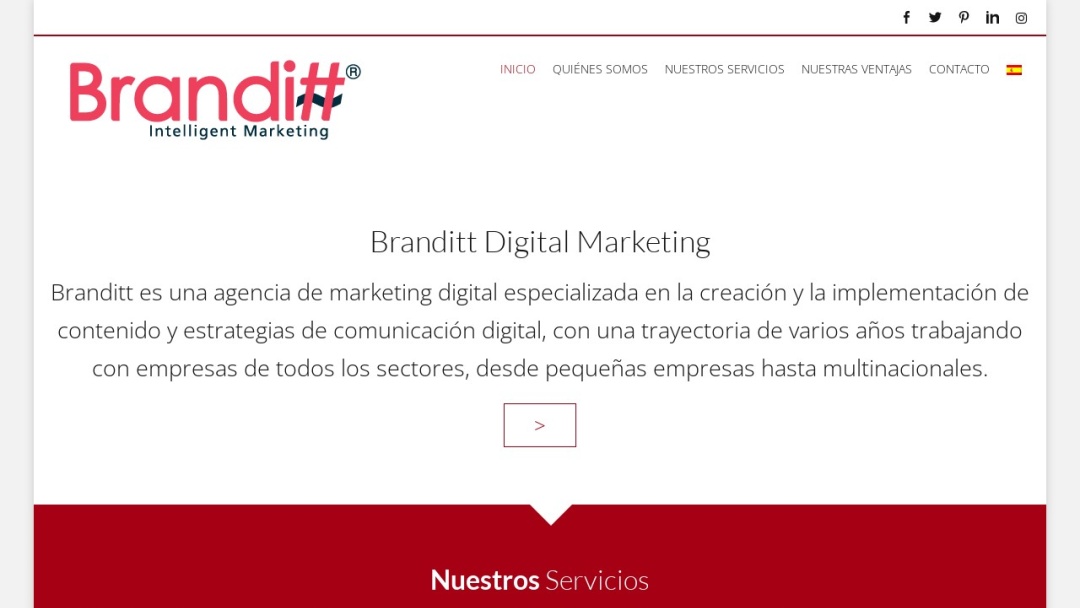 Screenshot of Branditt's Website