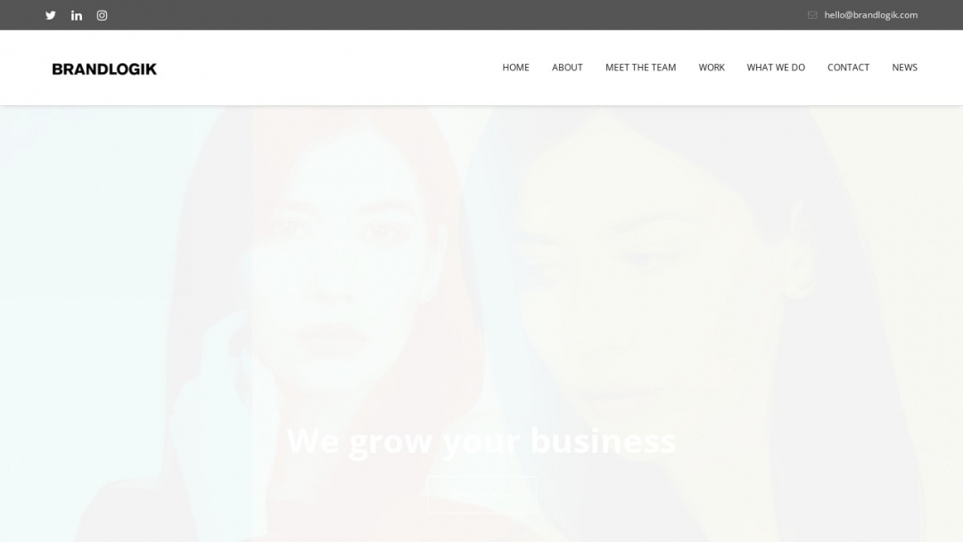 Screenshot of Brandlogik's Website