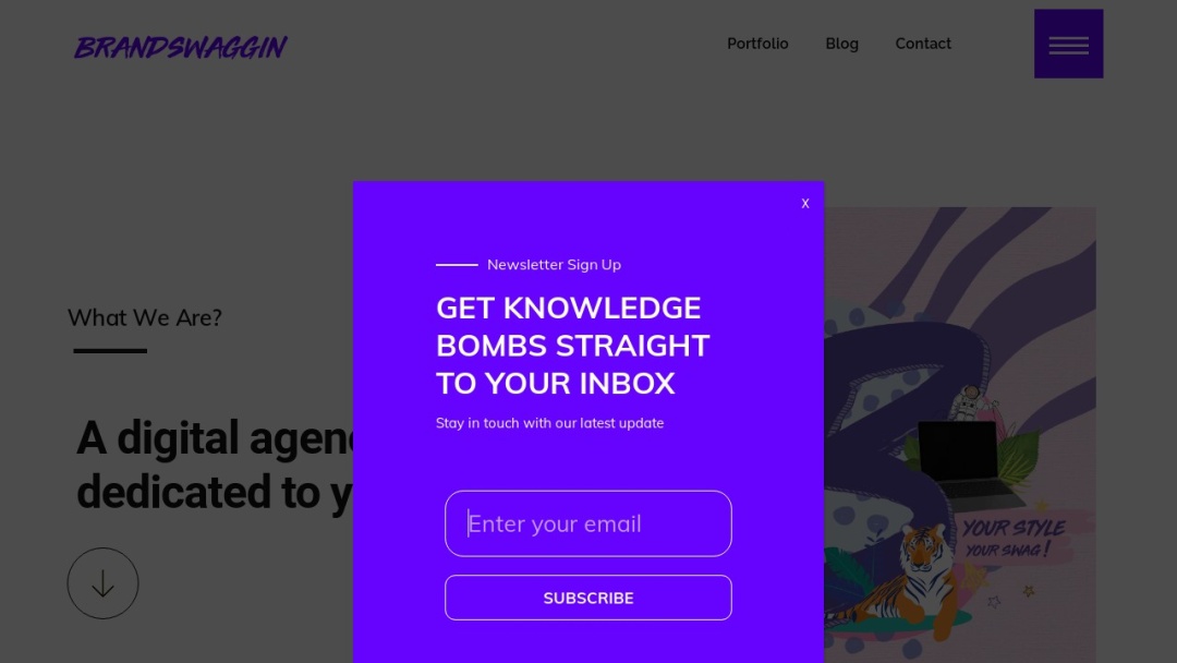 Screenshot of Brandswaggin's Website