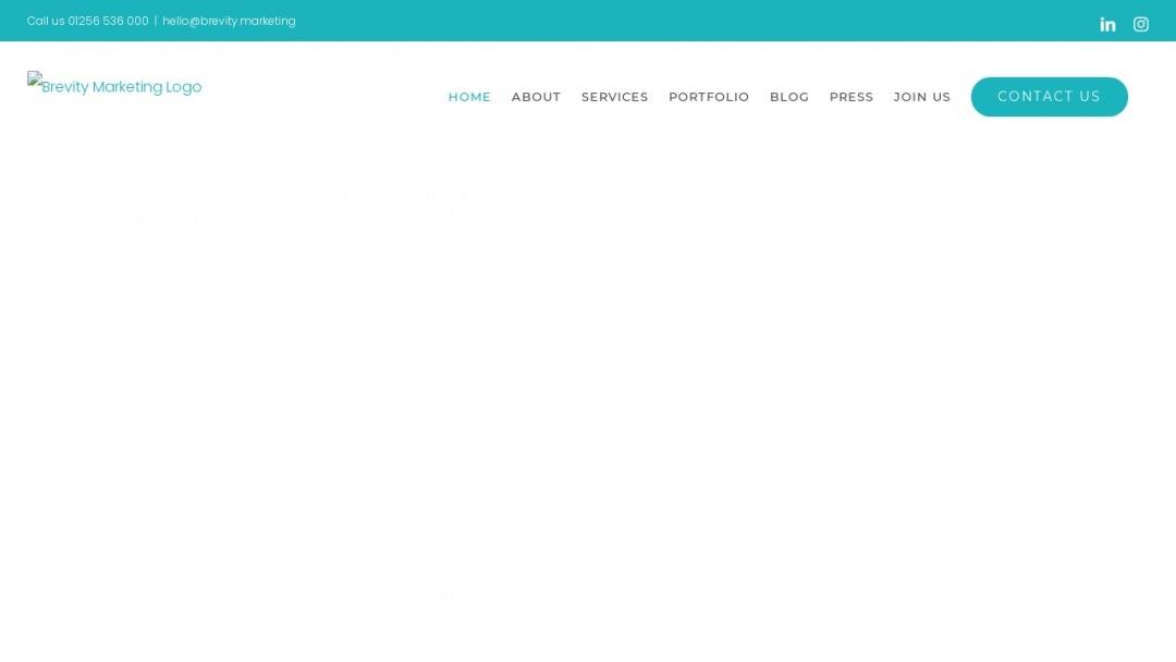 Screenshot of Brevity Marketing's Website