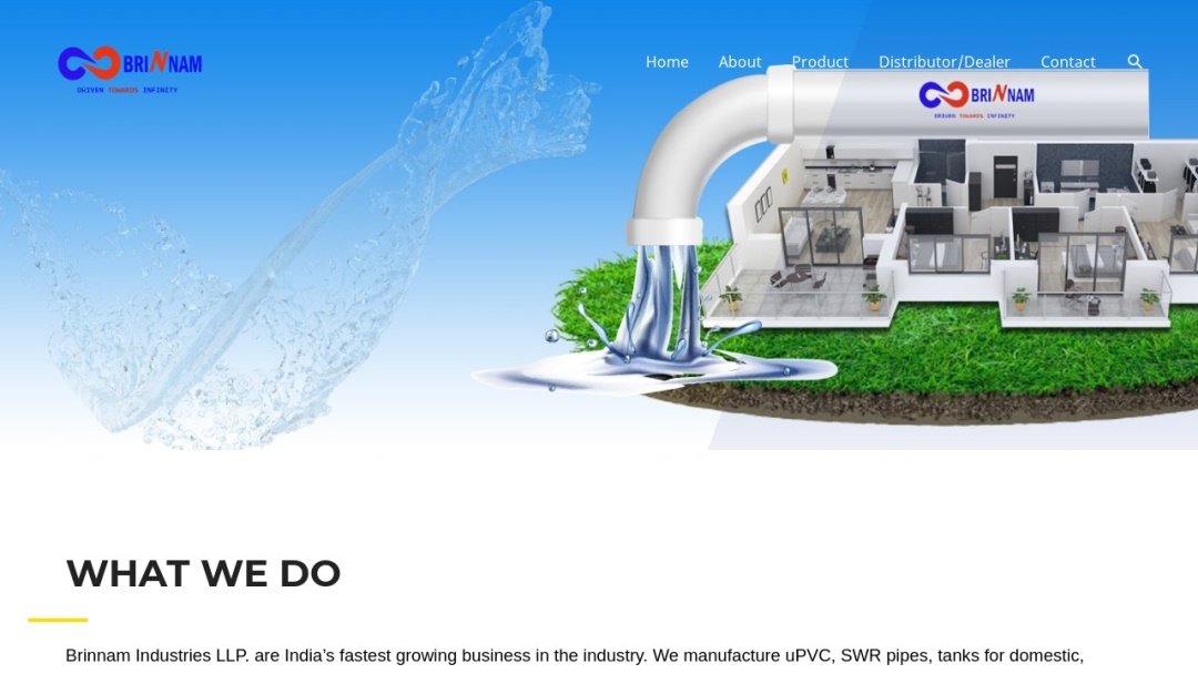 Screenshot of Brinnam - Rai's E-Bizz Pvt. Ltd.'s Website