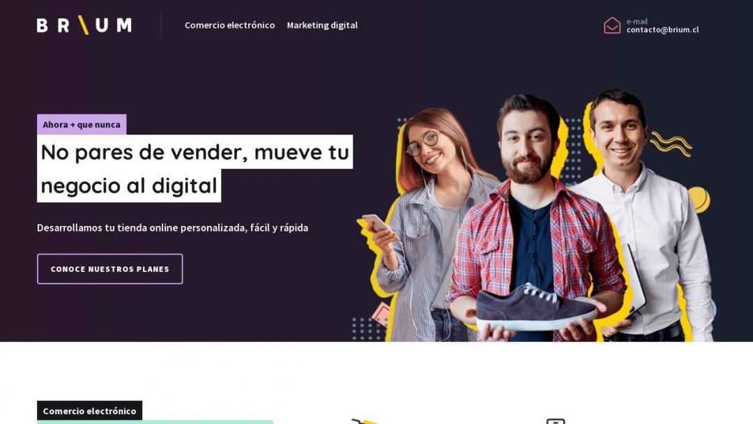 Screenshot of Brium's Website