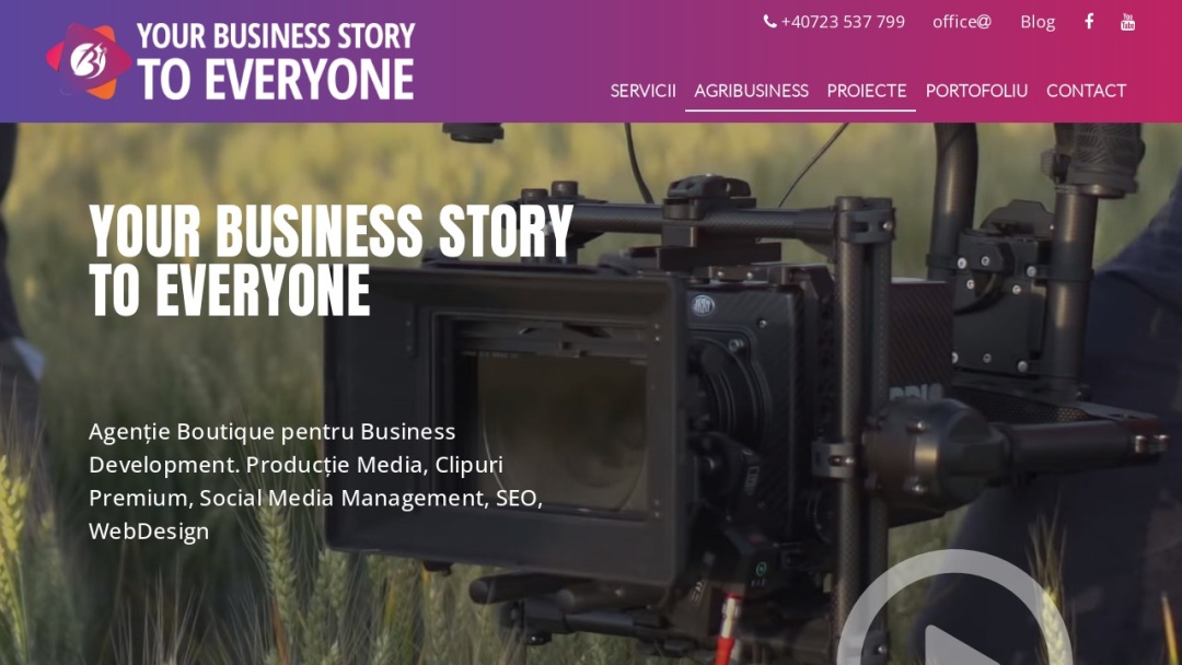 Screenshot of BTVideo's Website