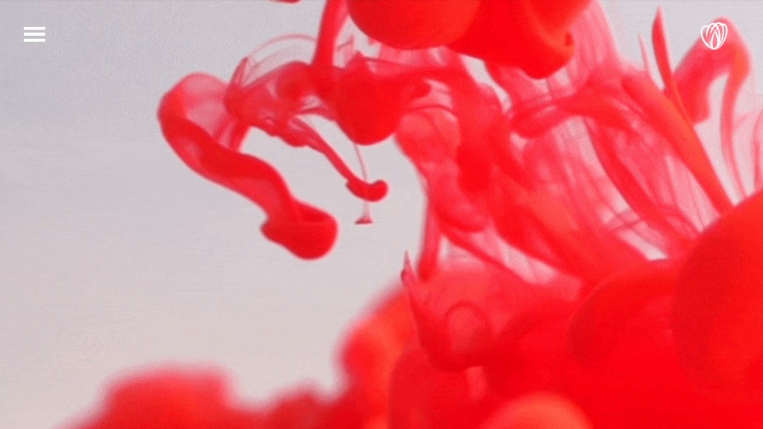 Screenshot of Butterfly's Website