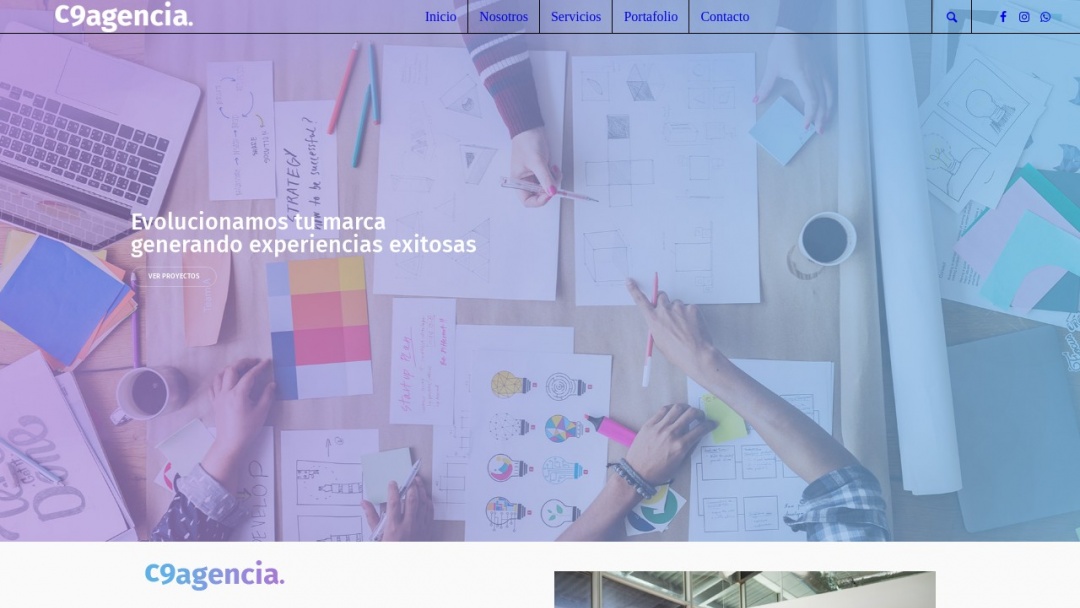 Screenshot of C9 Development's Website