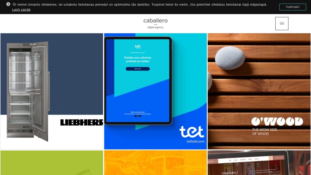 Screenshot of caballero's Website