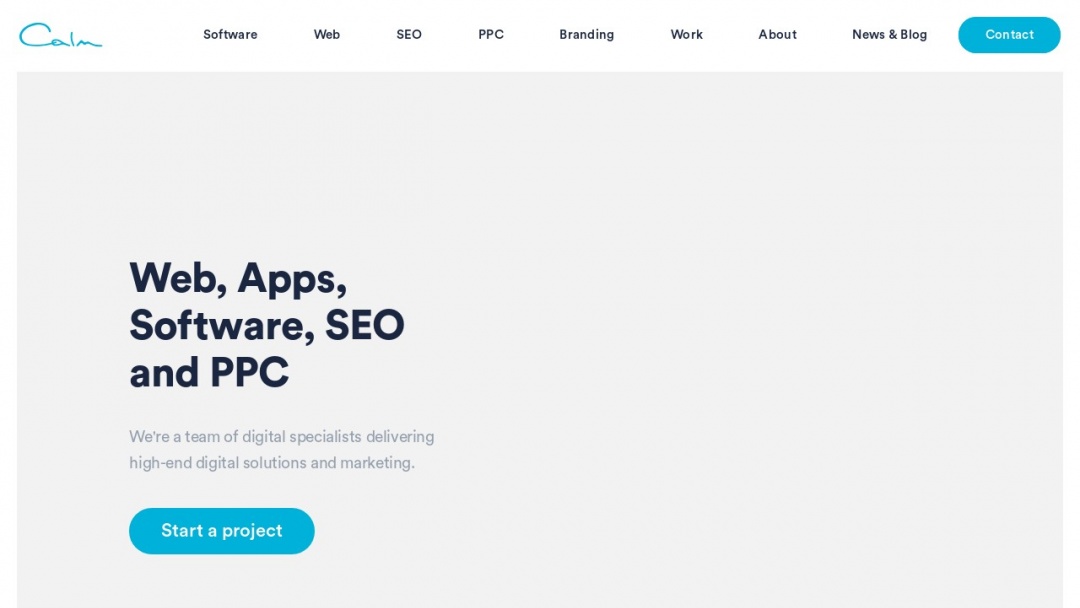 Screenshot of Calm Digital's Website