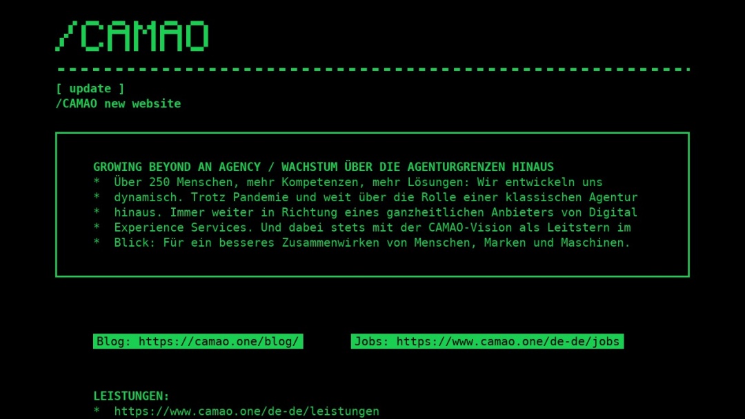 Screenshot of CAMAO's Website