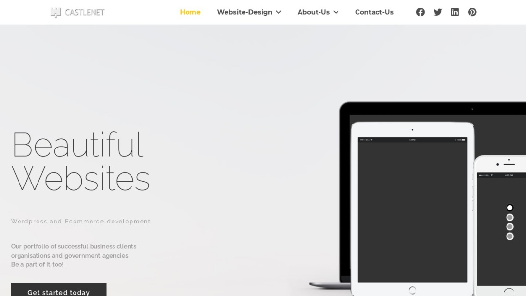 Screenshot of Castlenet's Website