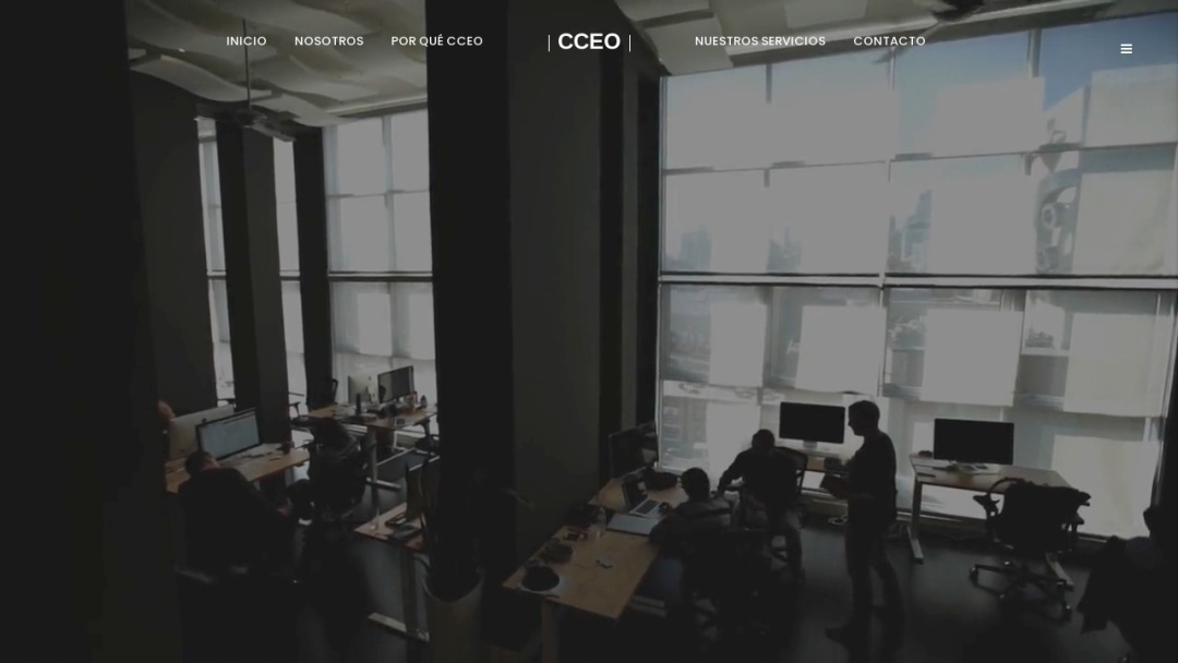 Screenshot of CCEO Software Development's Website