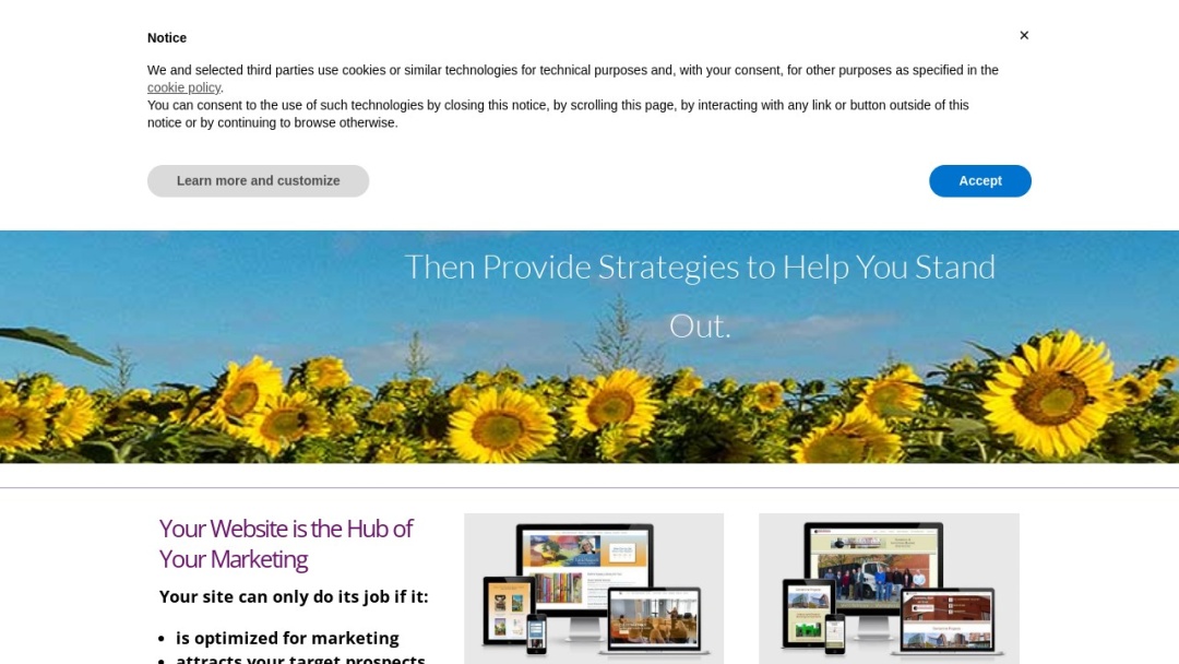 Screenshot of Christine Green Consulting's Website
