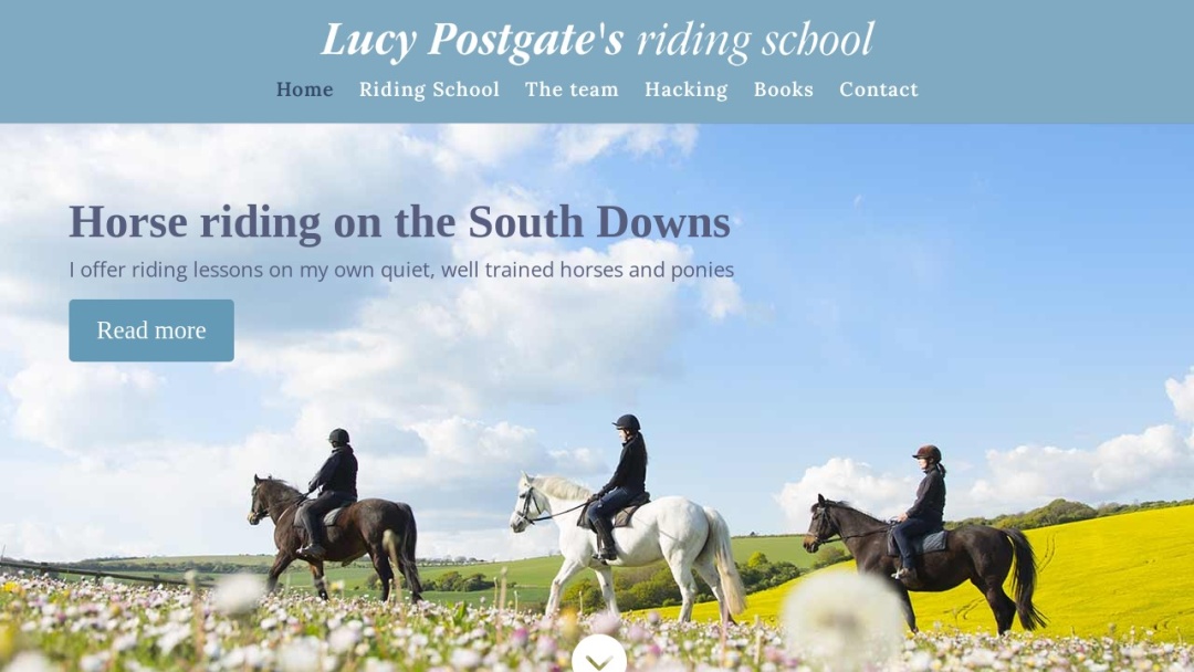 Screenshot of DARWIN Media Co.'s Website