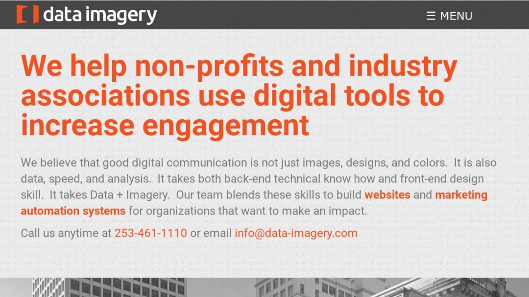 Screenshot of Data Imagery's Website
