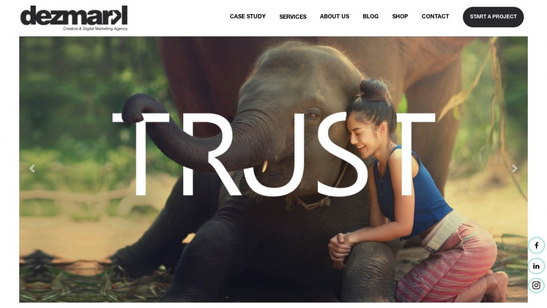 Screenshot of Dezmark's Website