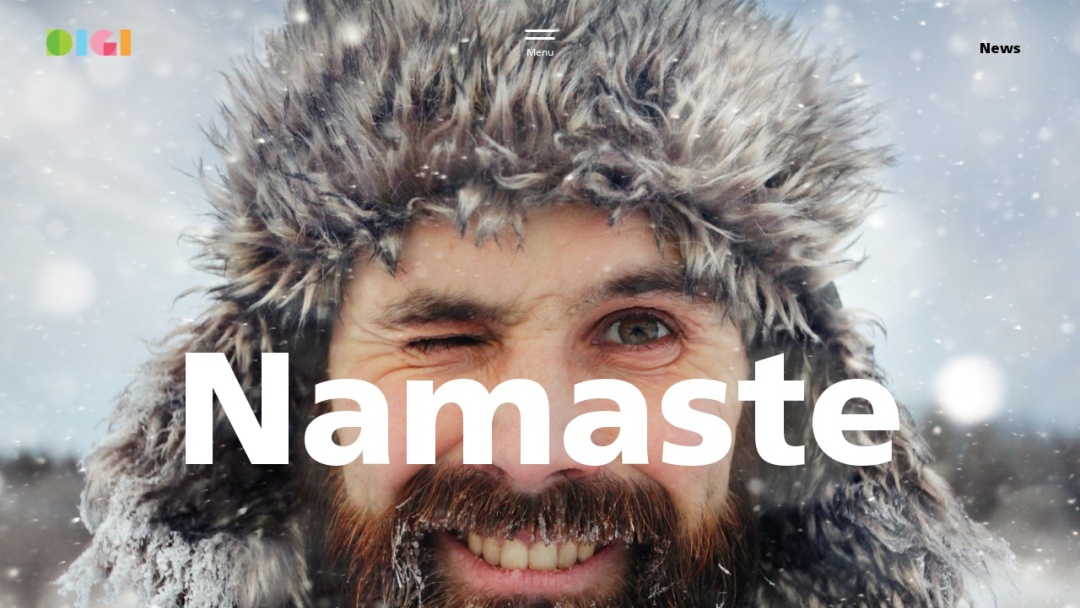 Screenshot of DigitalSkunks Technologies (P) Ltd.'s Website