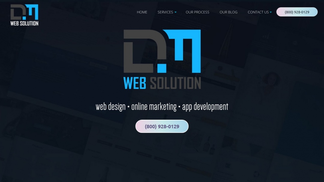 Screenshot of DM Web Solution's Website