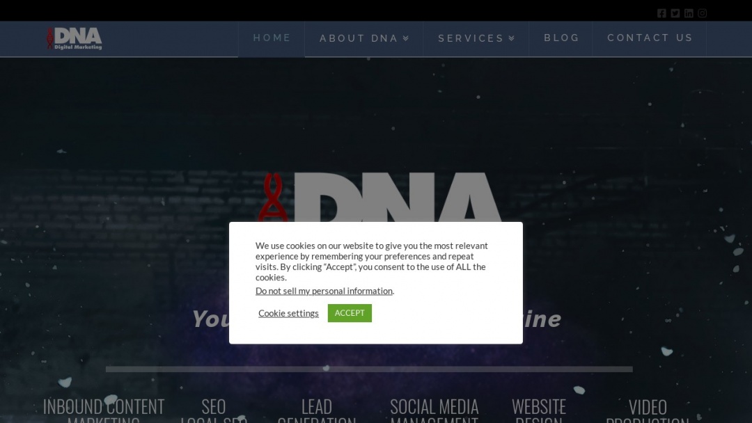 Screenshot of DNA Digital Marketing's Website