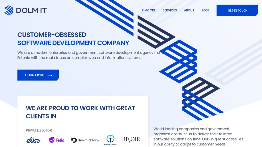 Screenshot of Dolm IT OÜ's Website