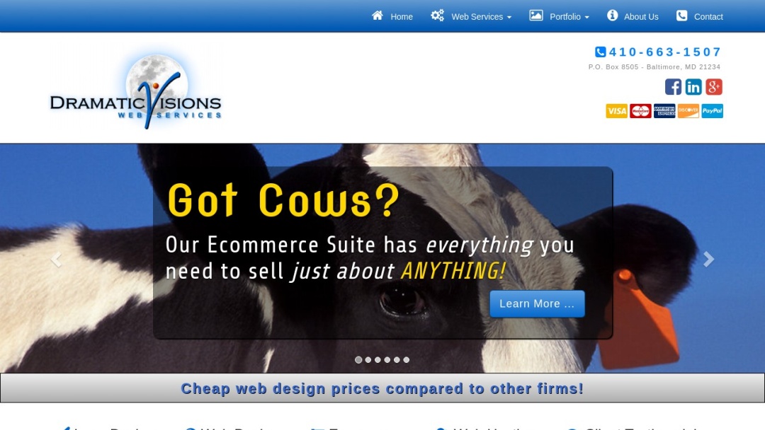 Screenshot of Dramatic Visions's Website