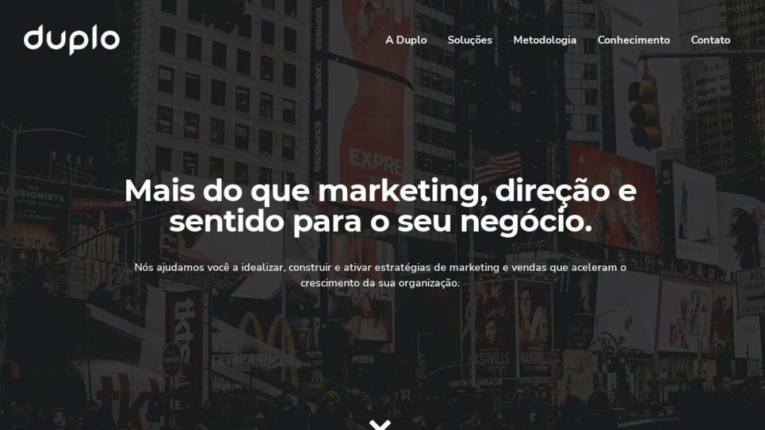 Screenshot of Duplo's Website