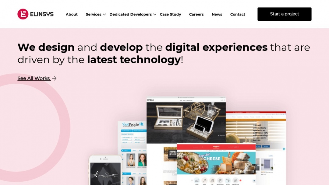 Screenshot of Elinsys's Website