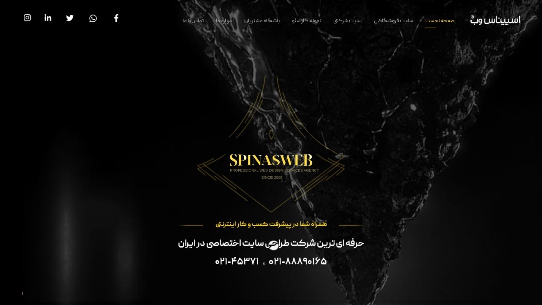 Screenshot of Espinasweb's Website