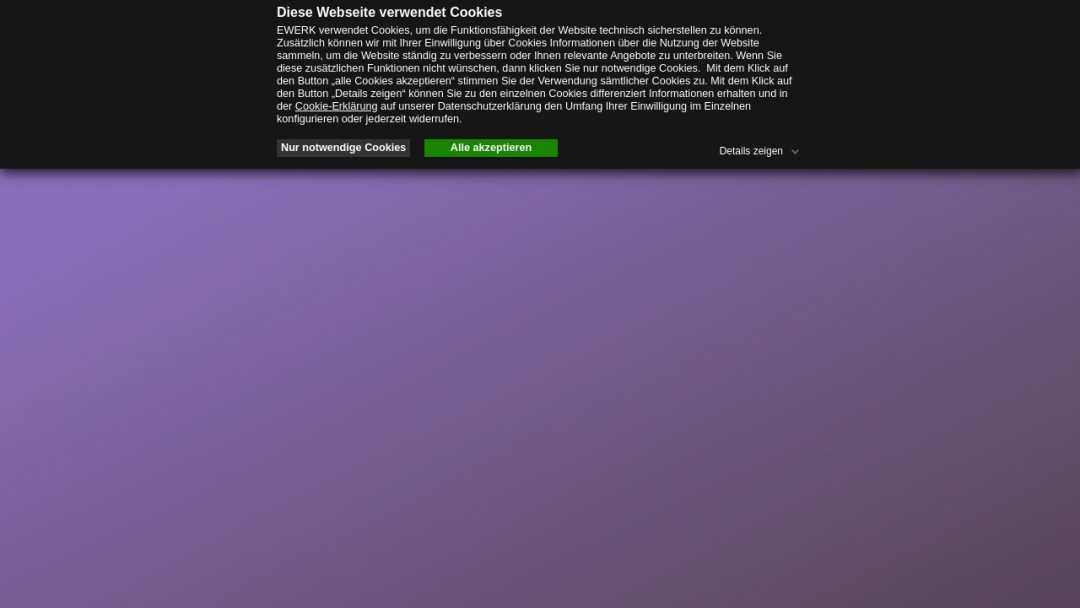 Screenshot of EWERK Group's Website