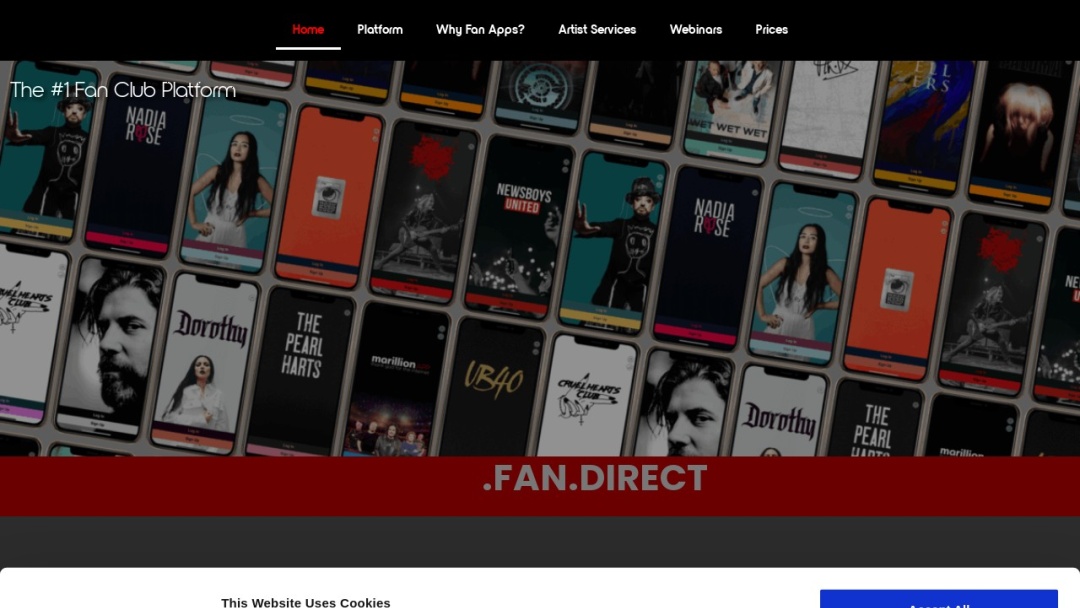 Screenshot of Gigrev's Website