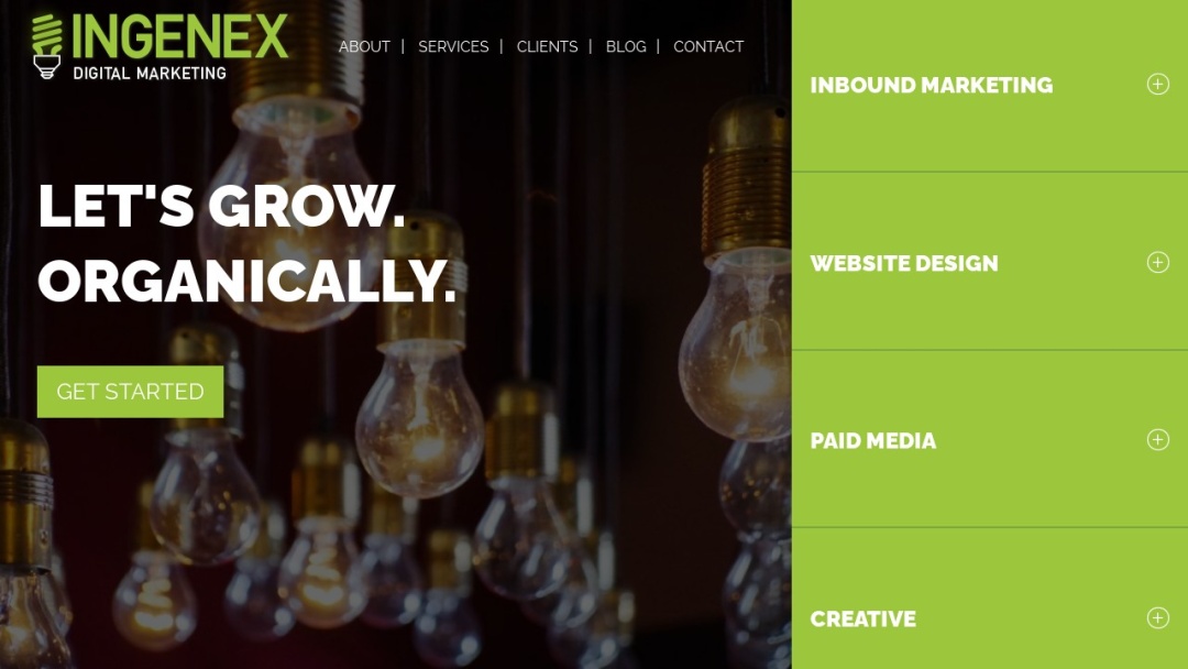 Screenshot of Ingenex Digital Marketing's Website
