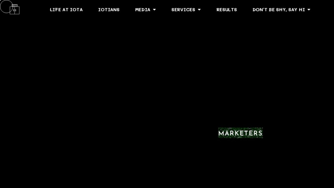 Screenshot of iOTA Infotech Pvt. Ltd.'s Website