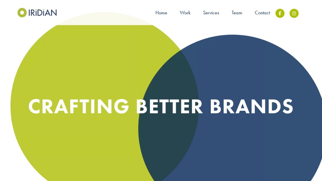 Screenshot of Iridian Group's Website