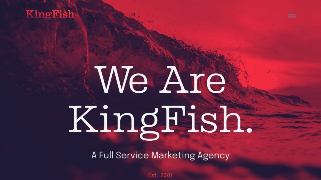 Screenshot of King Fish Media's Website