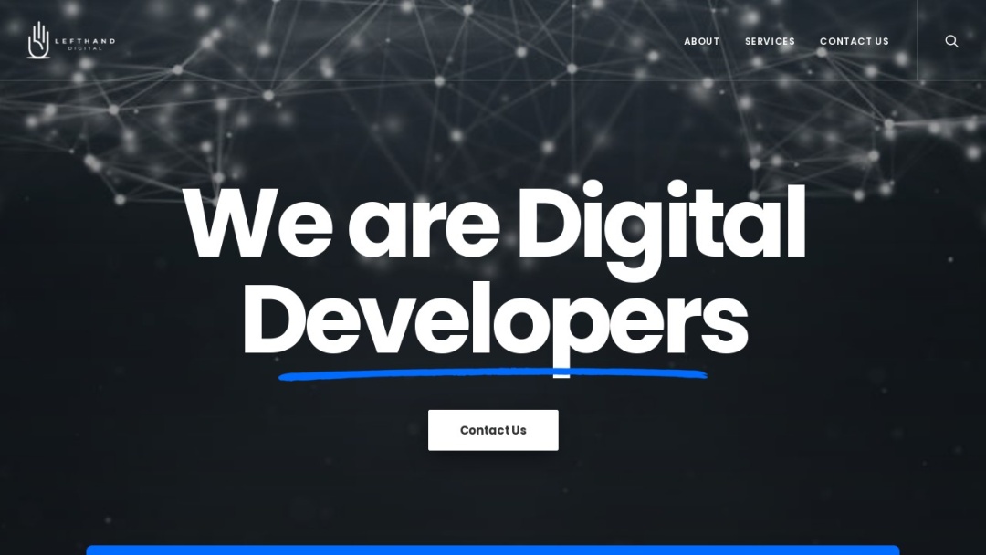 Screenshot of LeftHand Digital's Website