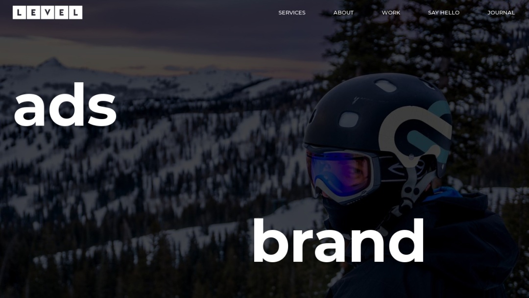 Screenshot of level's Website