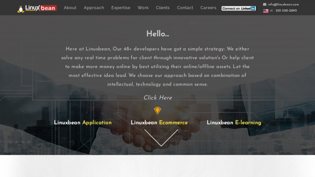 Screenshot of Linuxbean Solution PVT. LTD.'s Website