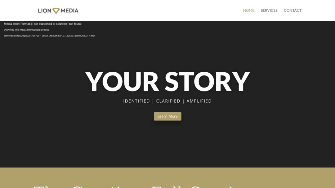 Screenshot of Lion Media Group's Website